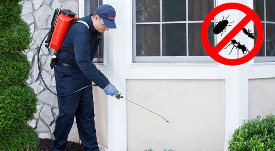 Sasalı Akrep İlaçlama böcek ilaçlama ve haşere kontrolü — ilaclama-tr.com